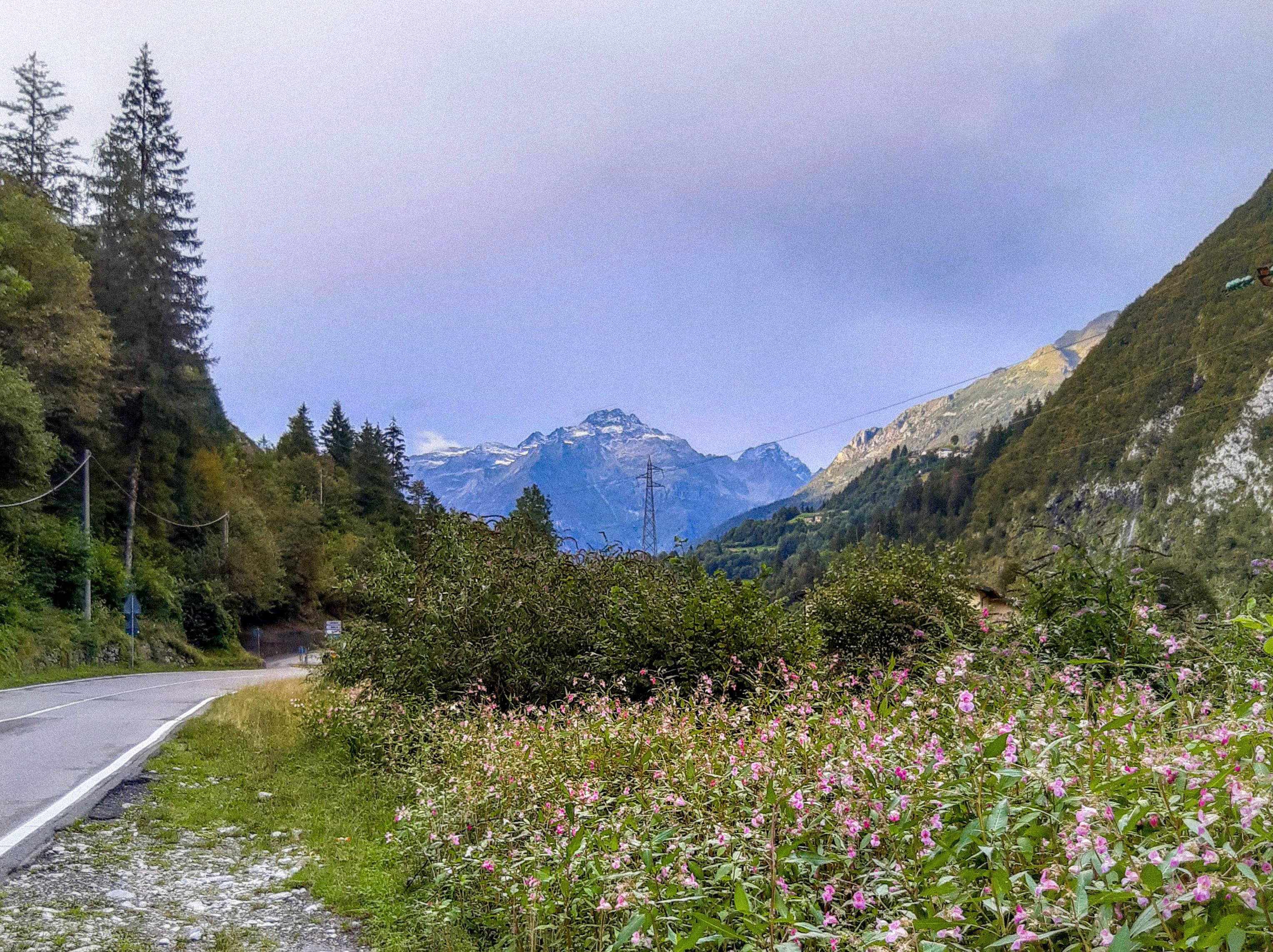 Parco delle Orobie Valtellinesi